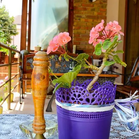 Pensjonat Nirvana Nesebyr