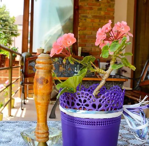 Vendégház Nirvana Neszebar