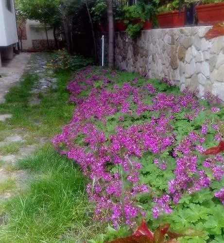 Nirvana Vendégház 4*