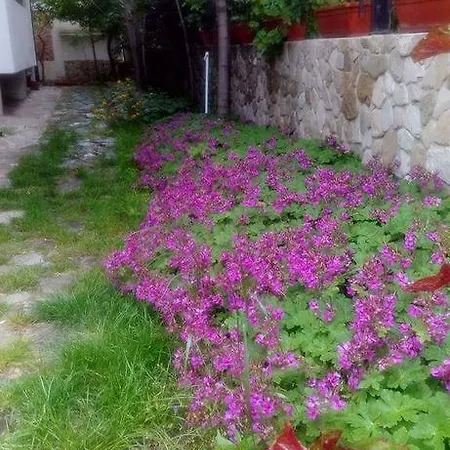 Nirvana ゲストハウス 4*